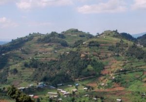 Rwanda_crop